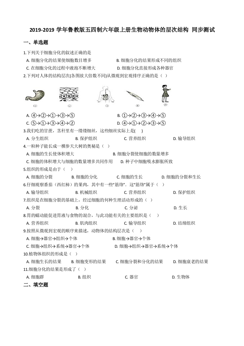 鲁教版五四制六年级上册生物