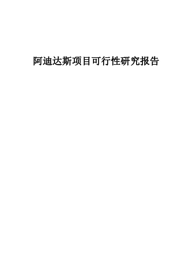 阿迪达斯项目可行性研究报告