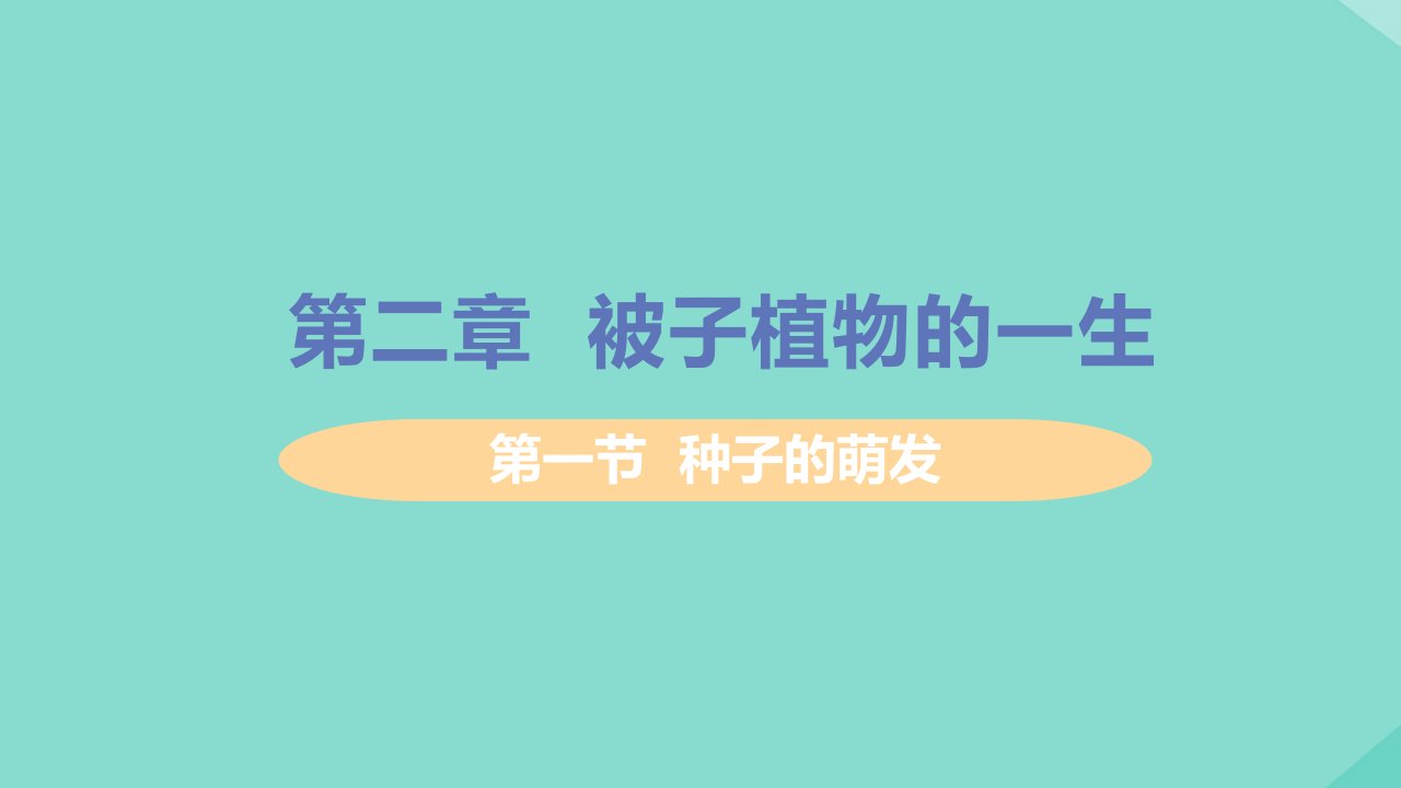 七年级生物上册第三单元生物圈中的绿色植物第二章被子植物的一生第一节种子的萌发教学课件新版新人教版