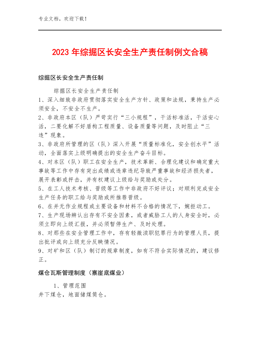 2023年综掘区长安全生产责任制例文合稿