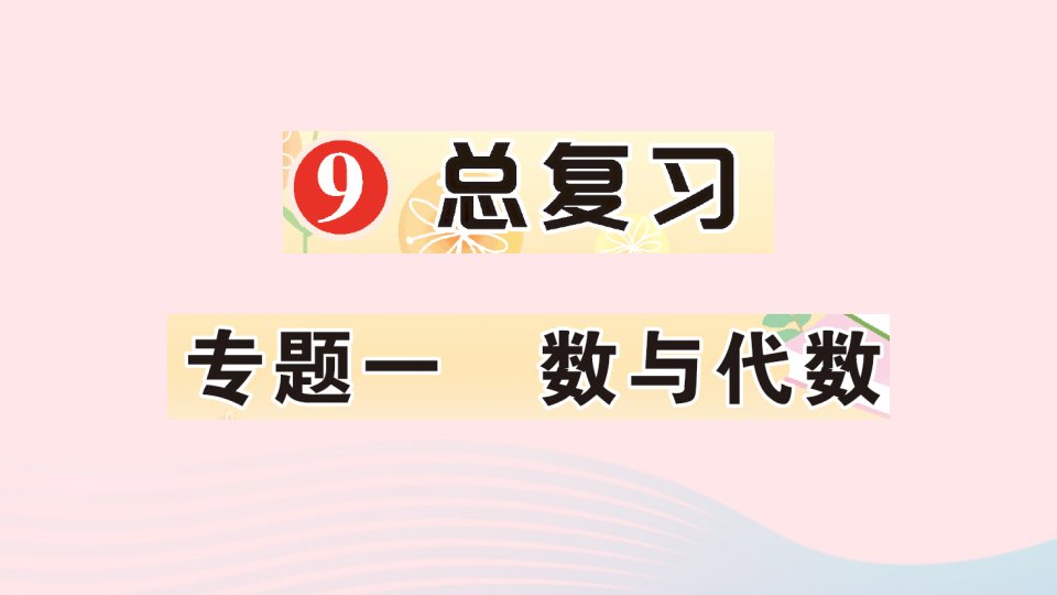 六年级数学上册9总复习专题一数与代数作业课件新人教版