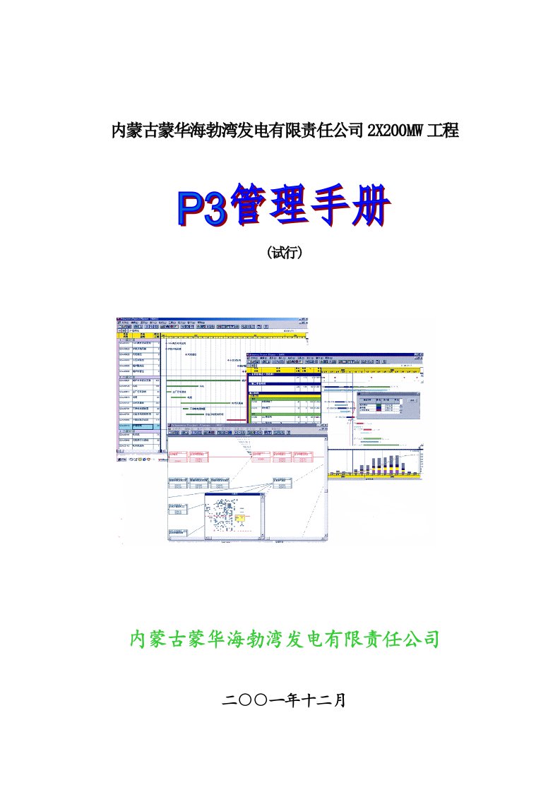 集团发电工程P3管理手册