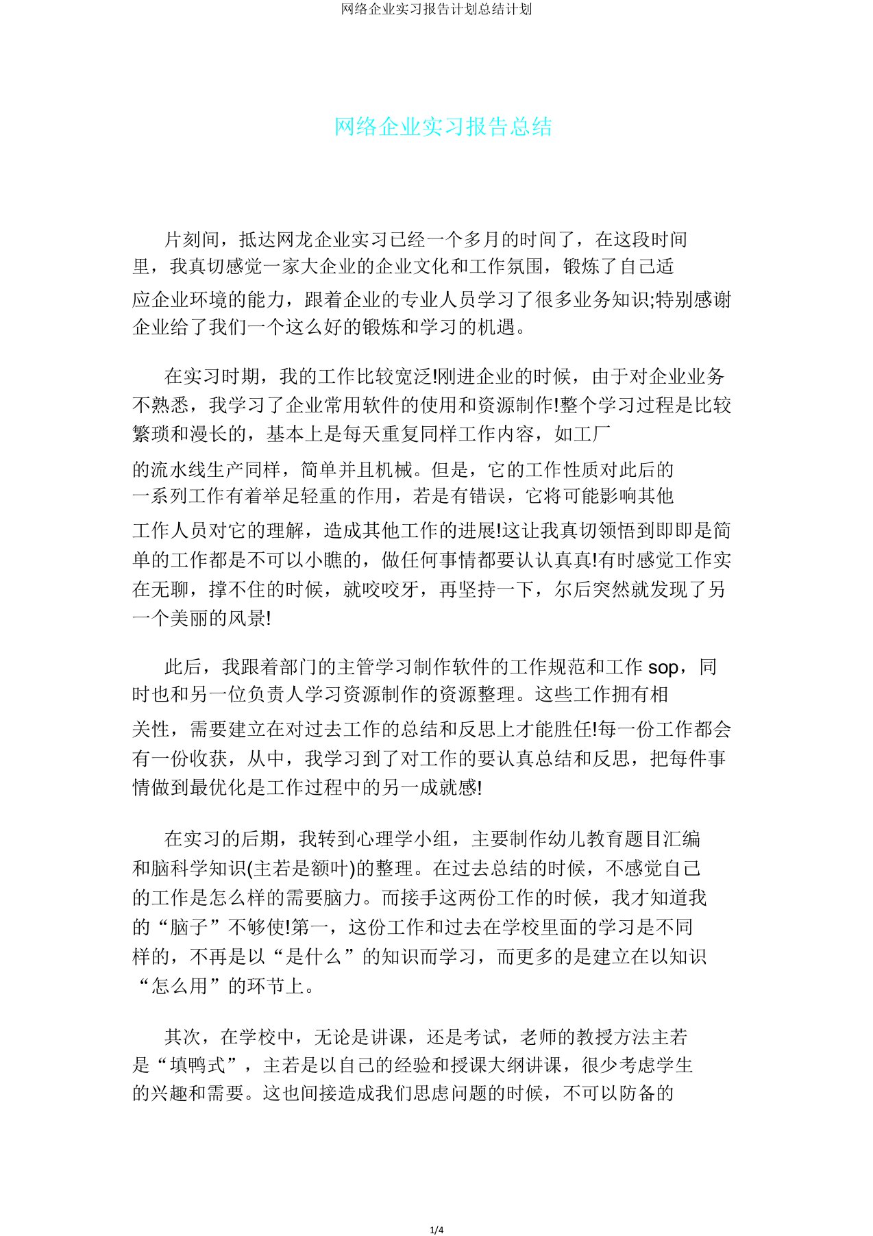 网络公司实习报告计划总结计划