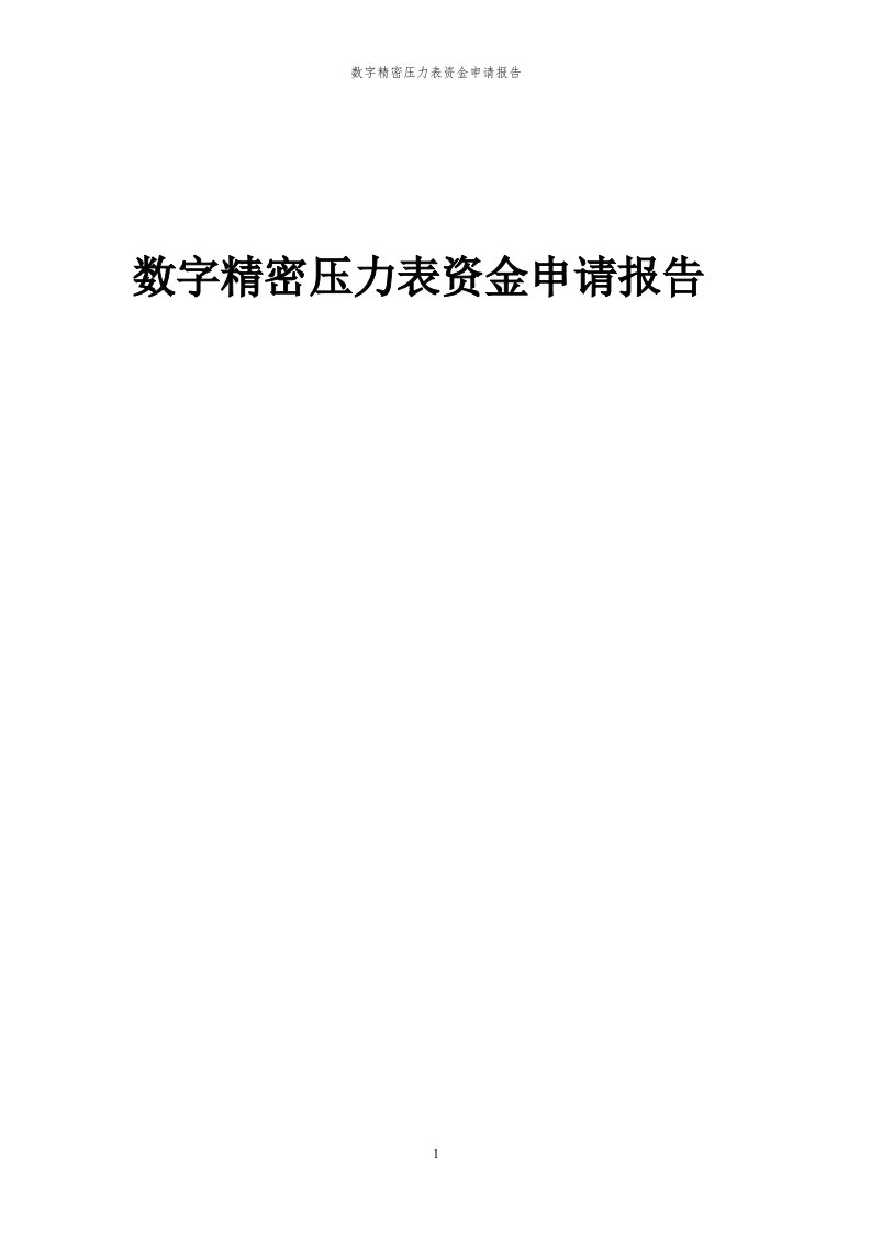 2024年数字精密压力表投资项目资金申请报告