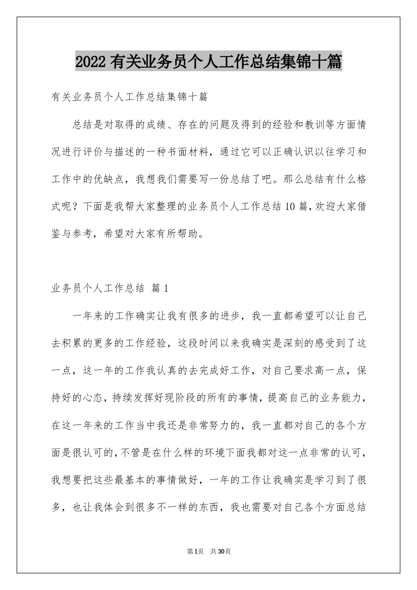 2022有关业务员个人工作总结集锦十篇