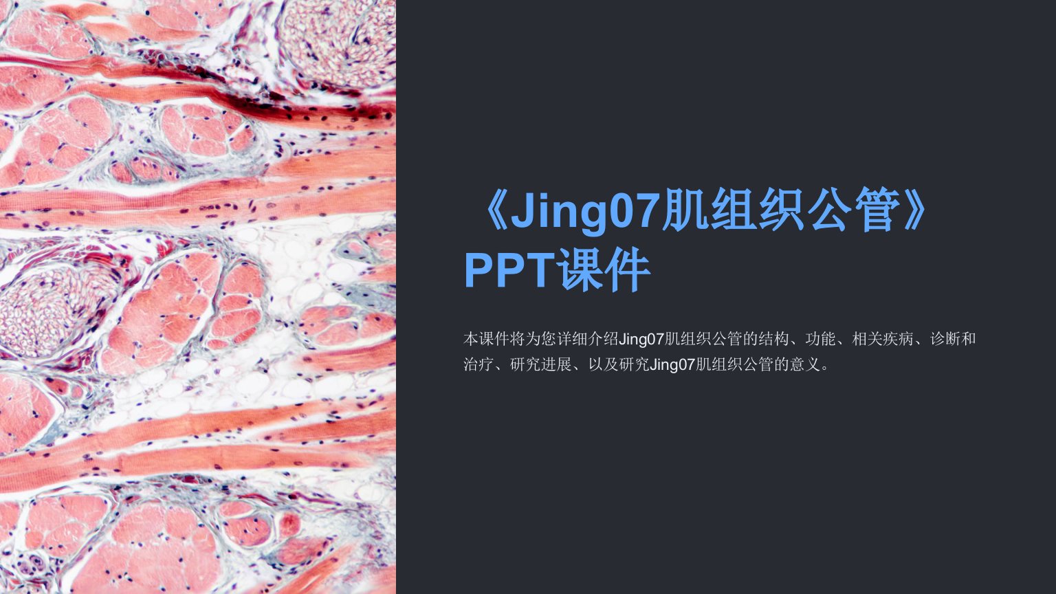 《Jing07肌组织公管》课件