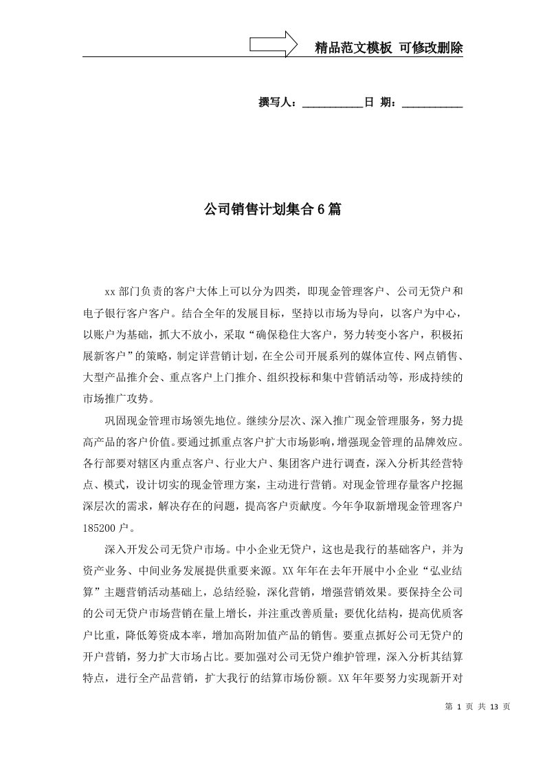 公司销售计划集合6篇三