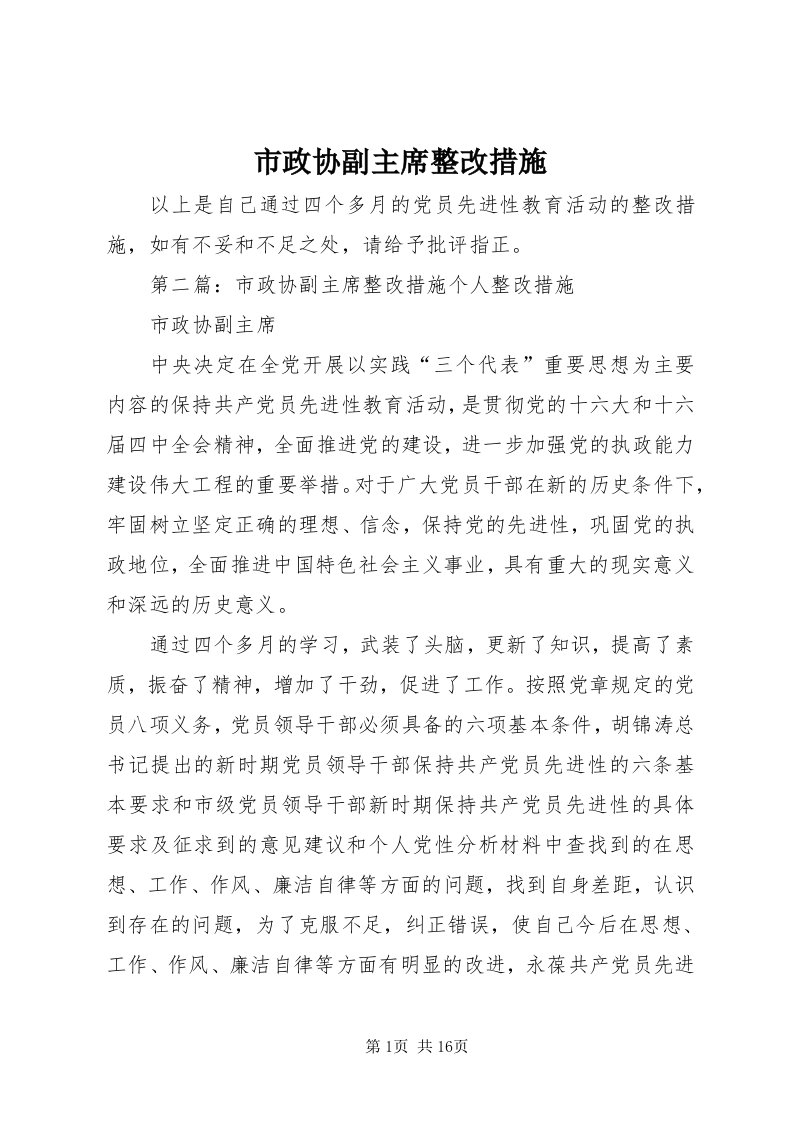 6市政协副主席整改措施