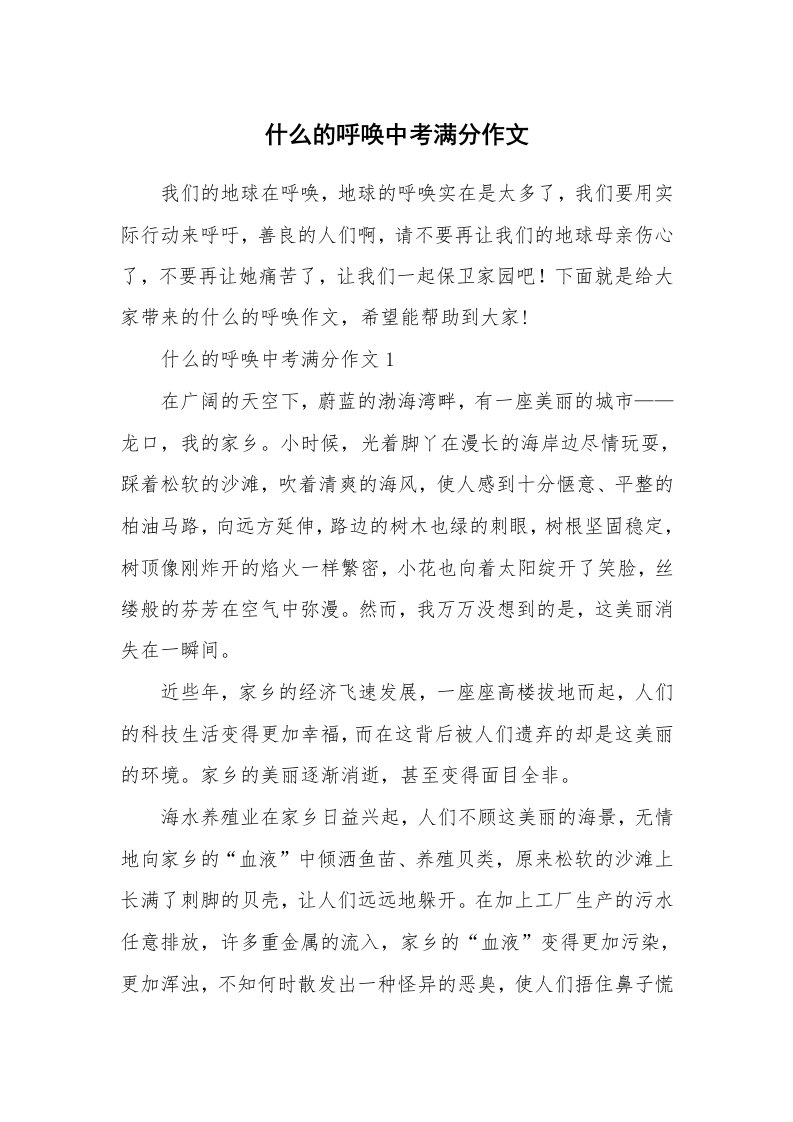 什么的呼唤中考满分作文