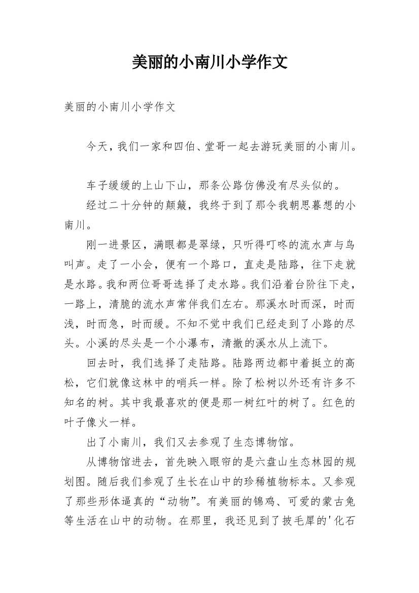 美丽的小南川小学作文