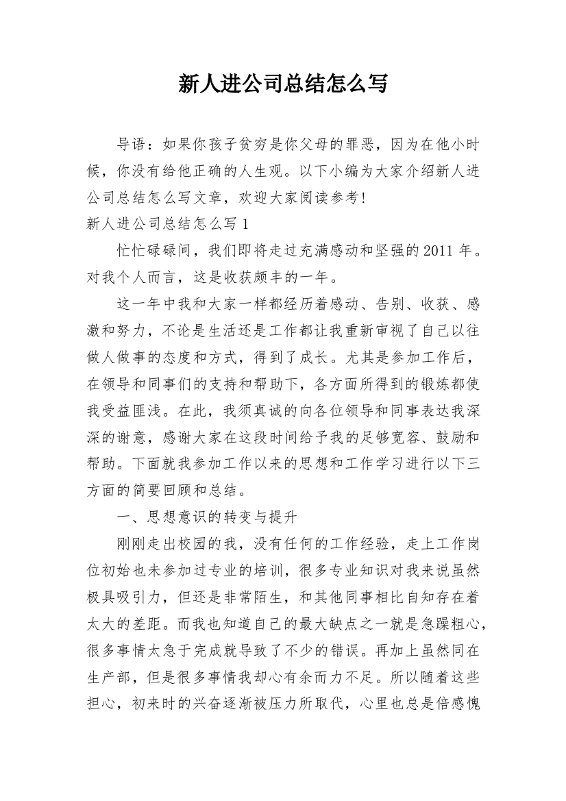 新人进公司总结怎么写