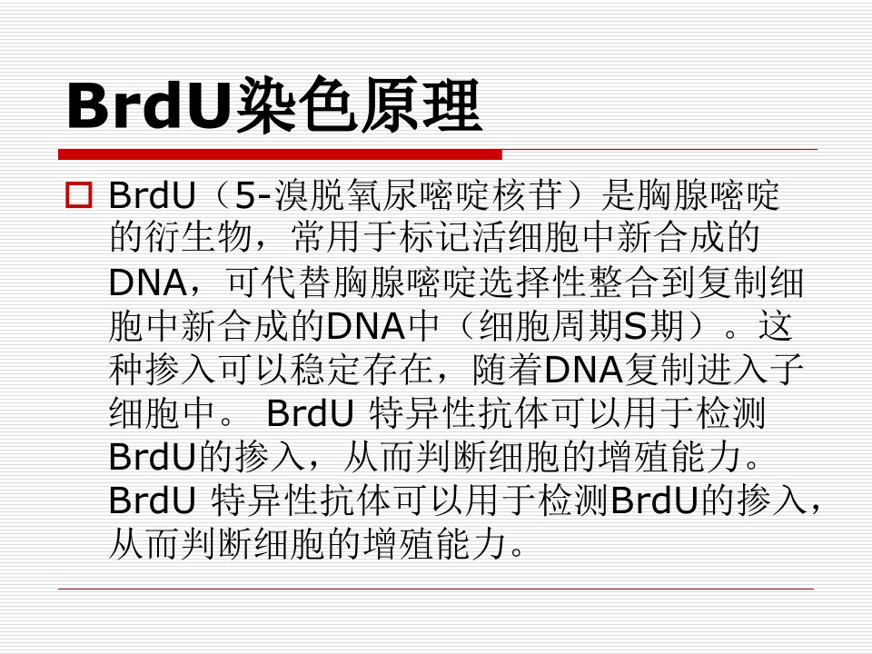 BrdU染色原理和步骤