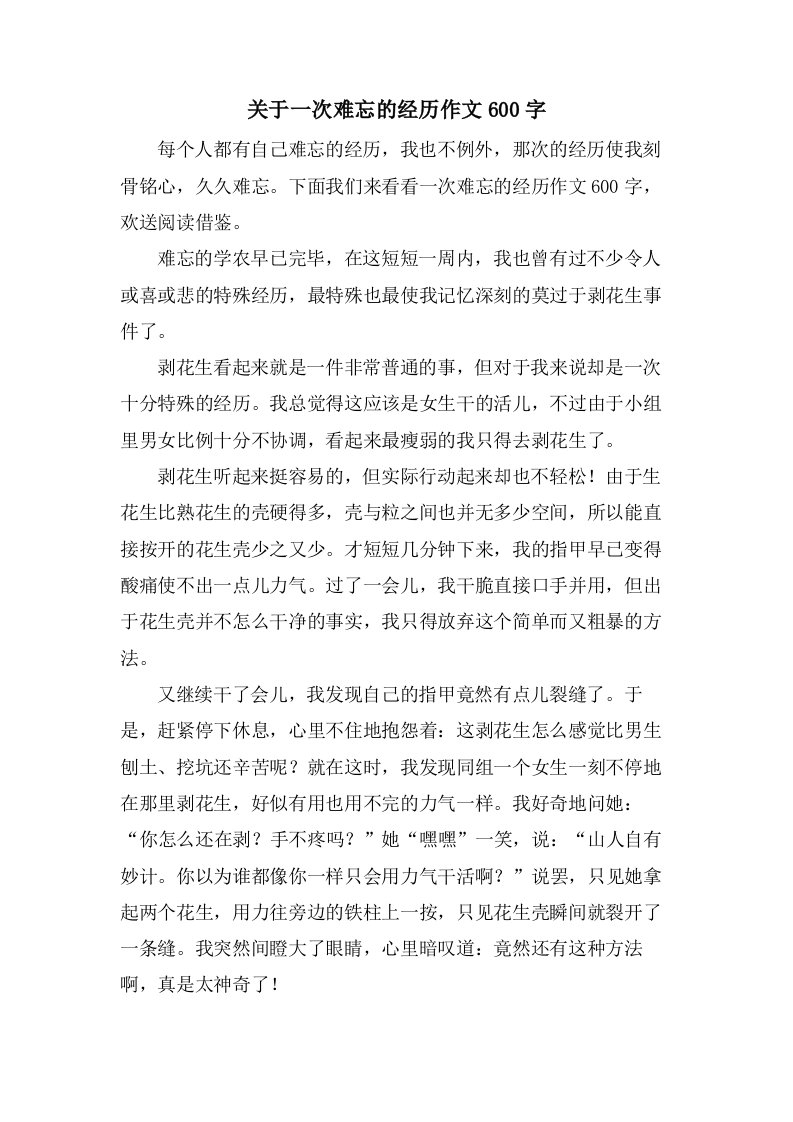 关于一次难忘的经历作文600字