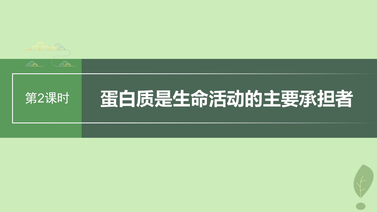 2024届高考生物一轮复习第一单元细胞的分子组成第2课时蛋白质是生命活动的主要承担者课件苏教版