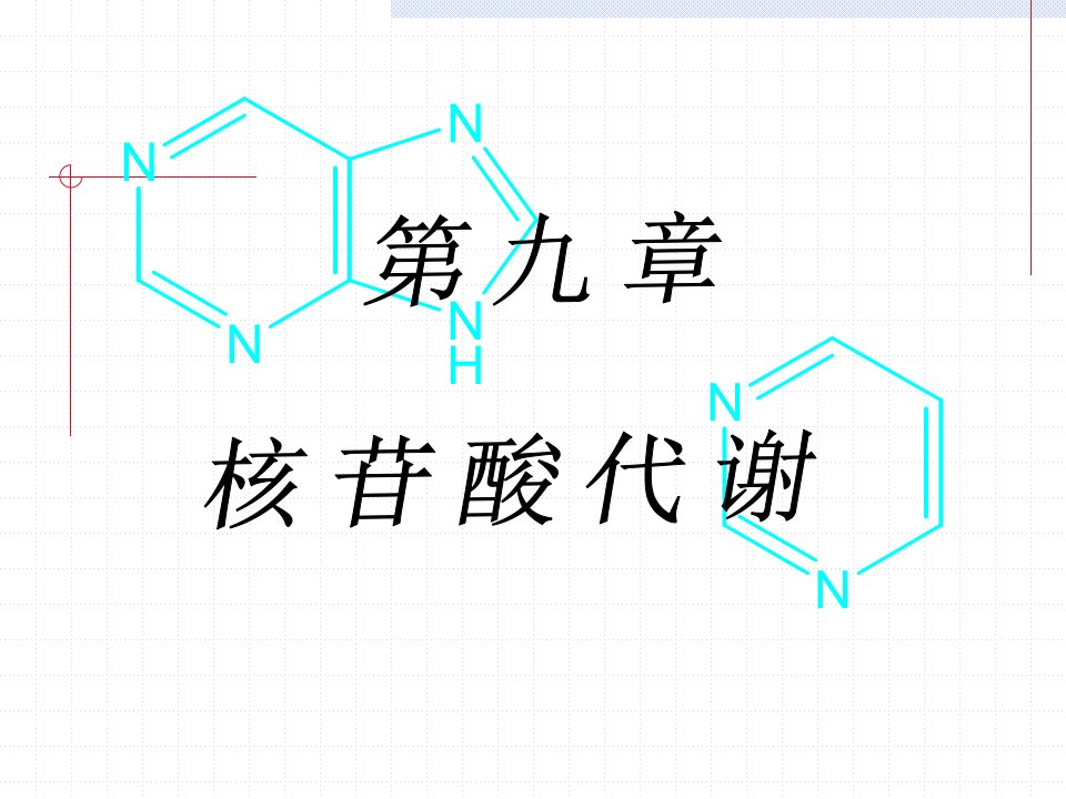 第九章_核苷酸代谢