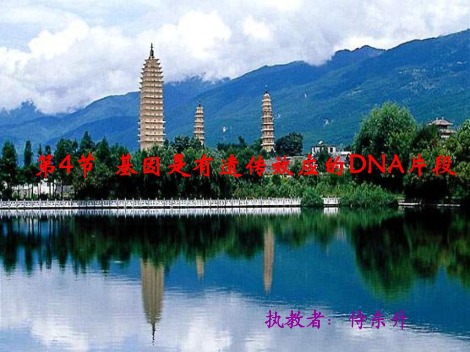 高二生物基因是有遗传效应的DNA