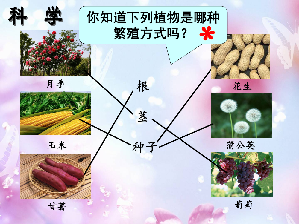 三年级科学下册