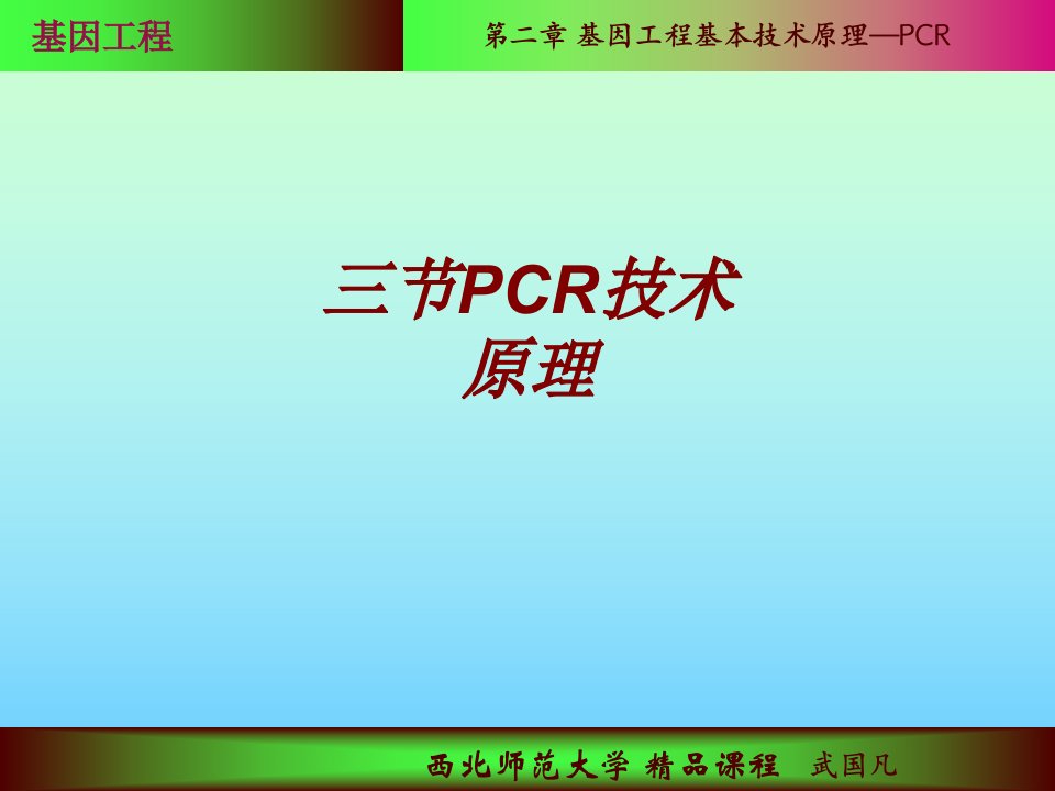 三节PCR技术原理PPT课件