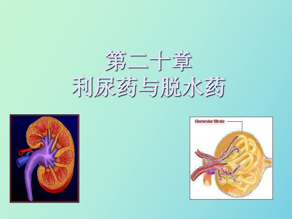 药理学课件第二十章利尿药和脱水药