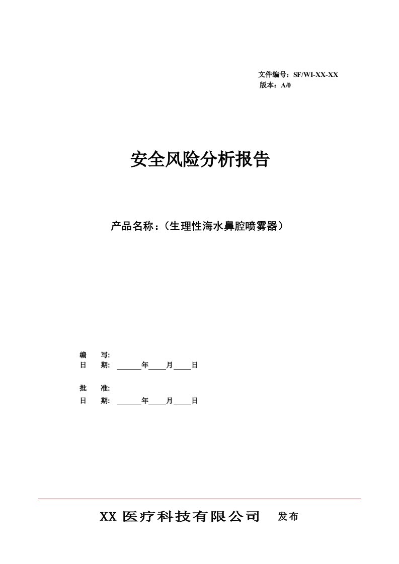 安全风险分析报告