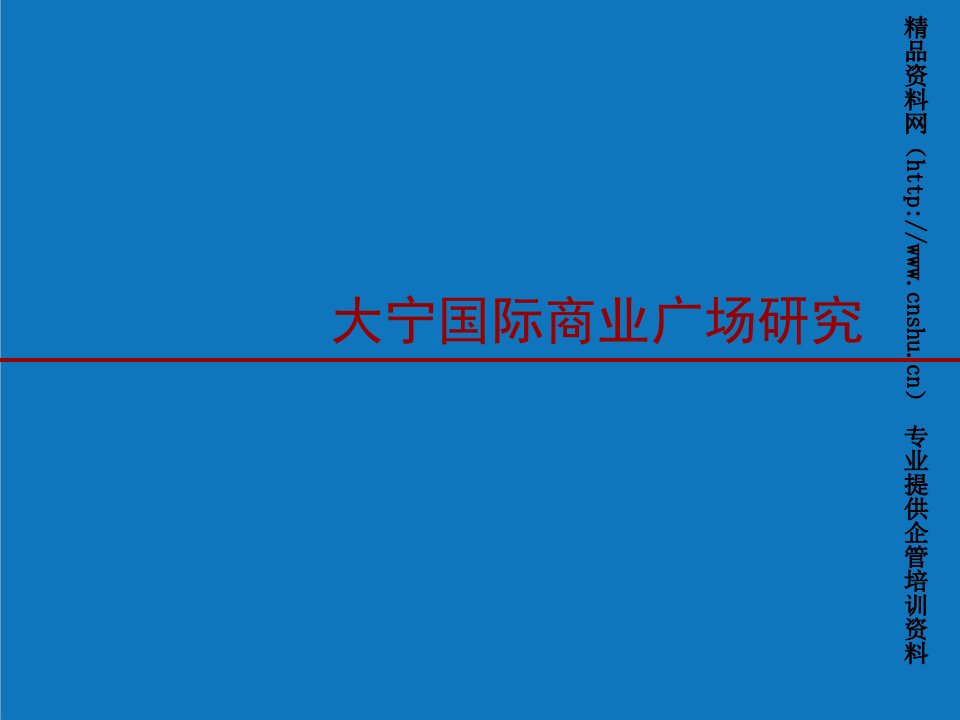 项目管理-闸北大宁国际广场项目分析