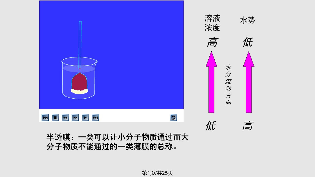 江苏省南京市东山外语国际学校高二生物物质跨膜运输件PPT课件