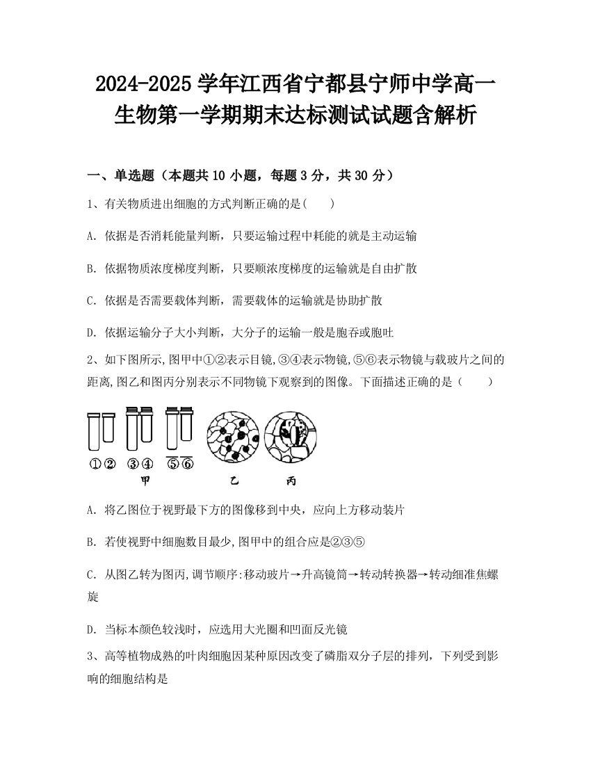 2024-2025学年江西省宁都县宁师中学高一生物第一学期期末达标测试试题含解析