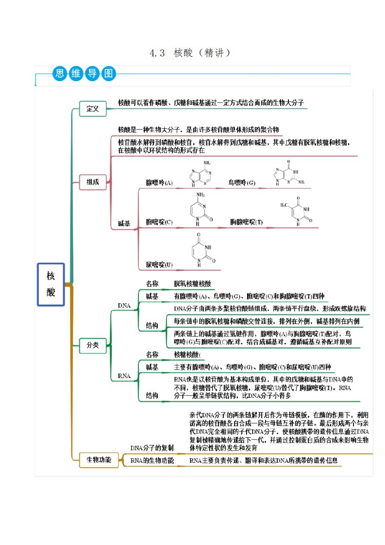 选择性必修第三册化学同步讲义：核酸