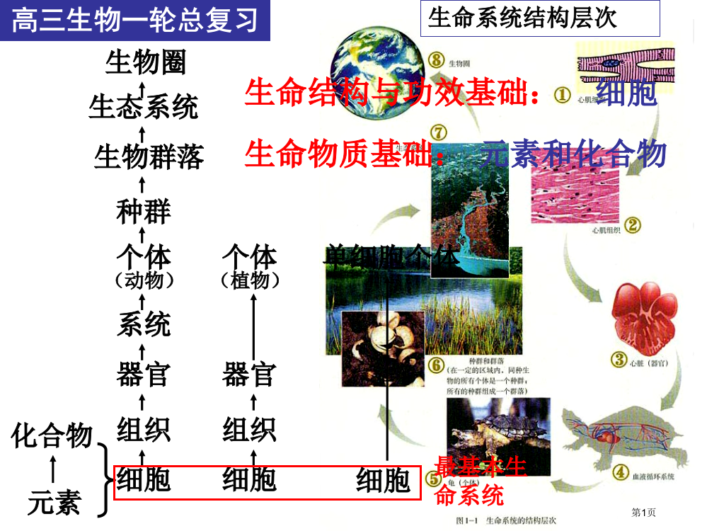 高三生物一轮总复习(细胞与化合物)市公开课一等奖省赛课获奖PPT课件