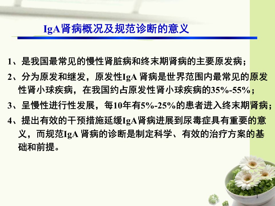 IgA肾病中医辨证分型的实践指南ppt课件