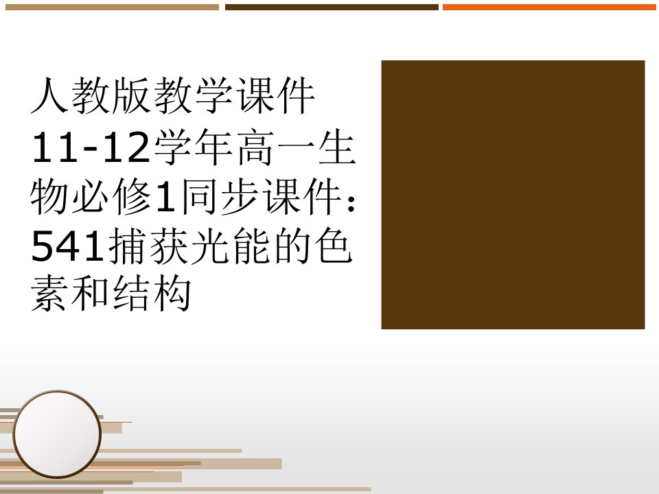 人教版教学课件11-12学年高一生物必修1同步课件：541捕获光能的色素和结构