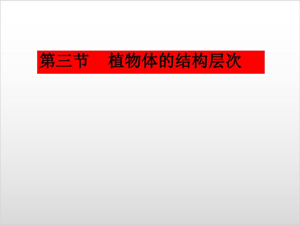 新人教版生物《植物体的结构层次》课件