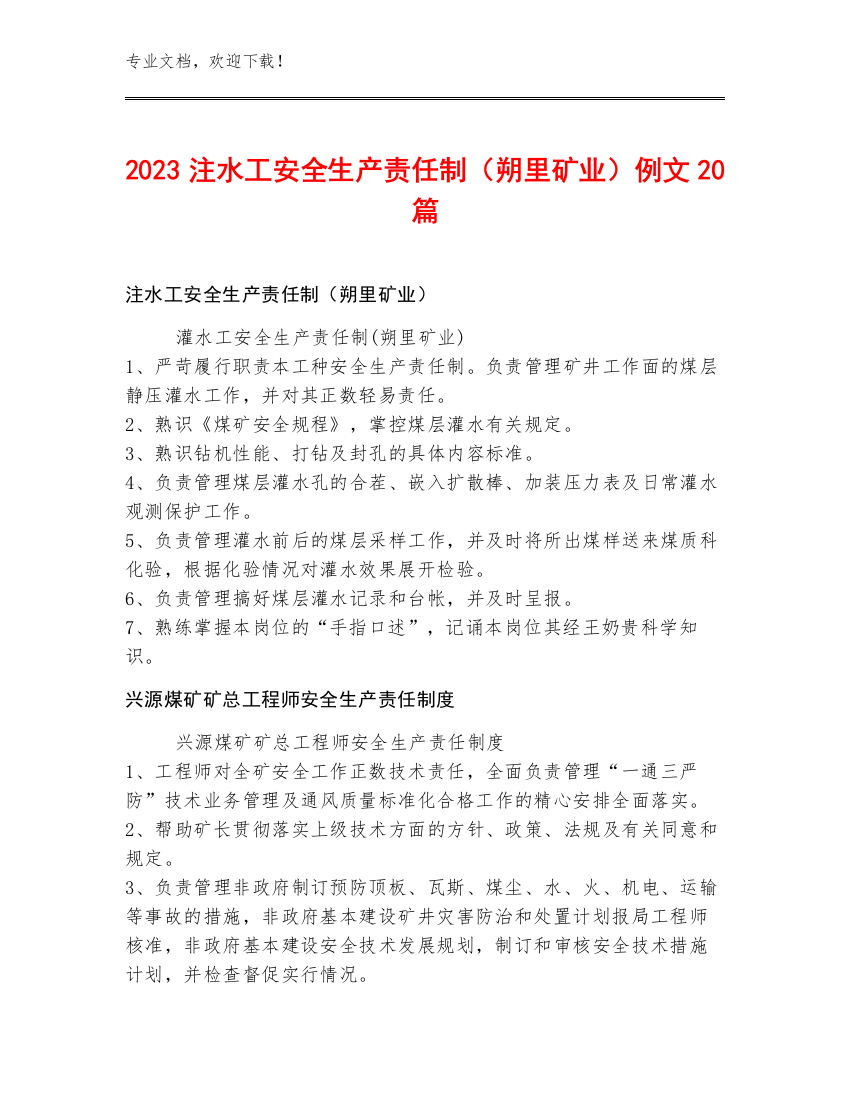 2023注水工安全生产责任制（朔里矿业）例文20篇