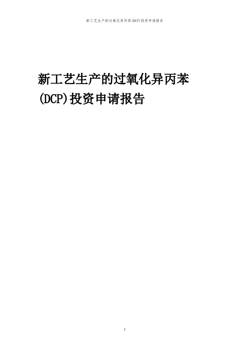 2024年新工艺生产的过氧化异丙苯(DCP)投资申请报告