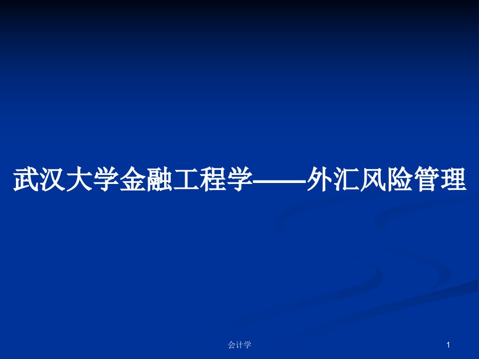 武汉大学金融工程学——外汇风险管理PPT学习教案