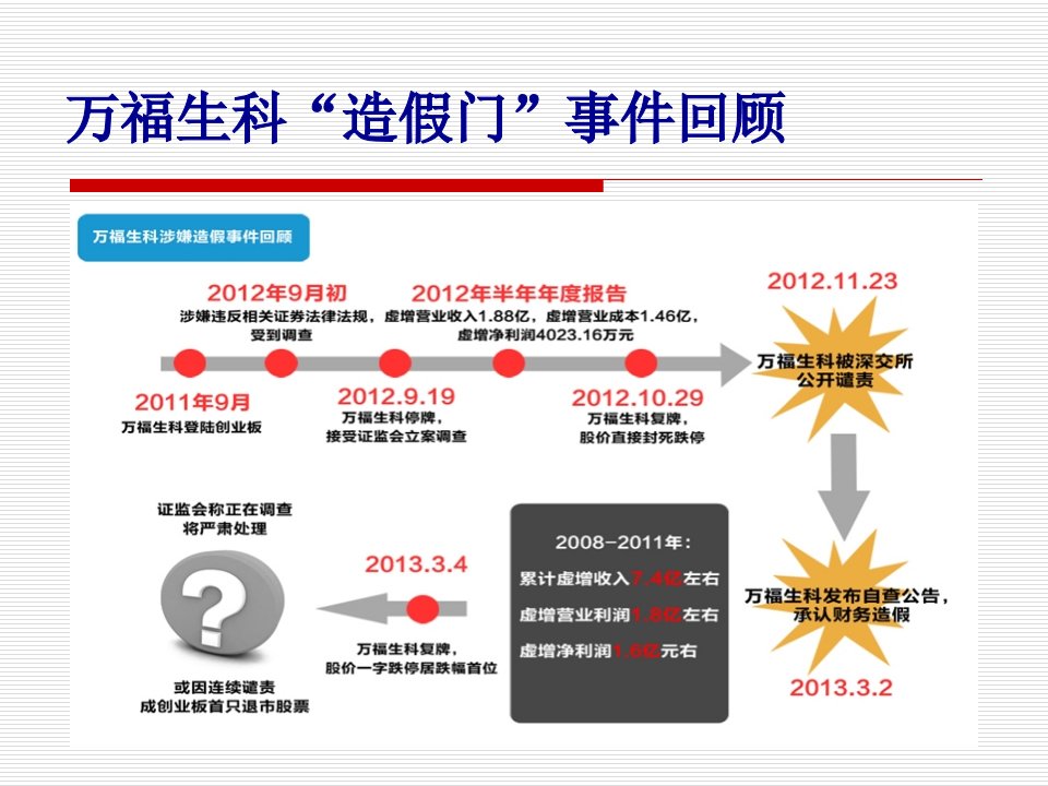 财务造假案例分析33页PPT