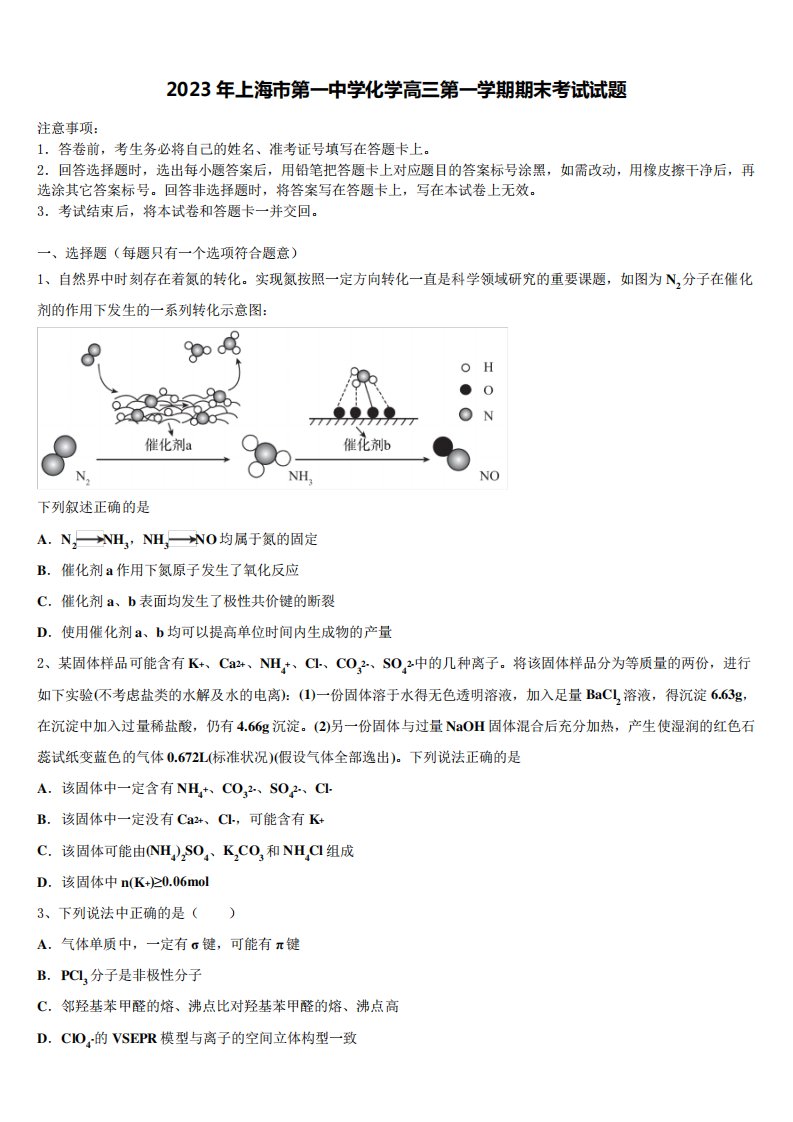 2023年上海市第一中学化学高三第一学期期末考试试题含解析