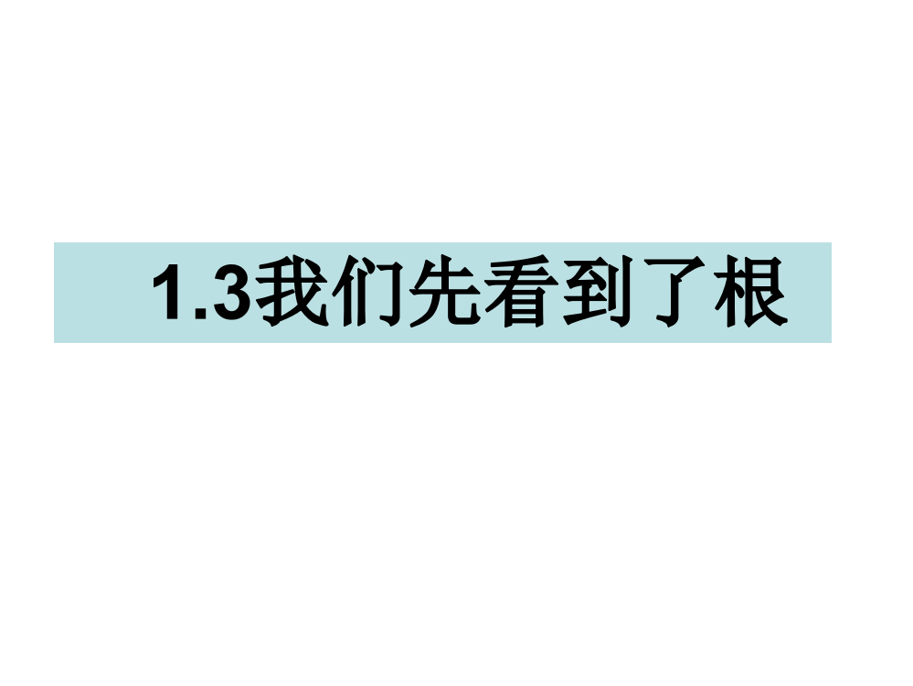 三年级下册科课件-1.3我们先看到了根