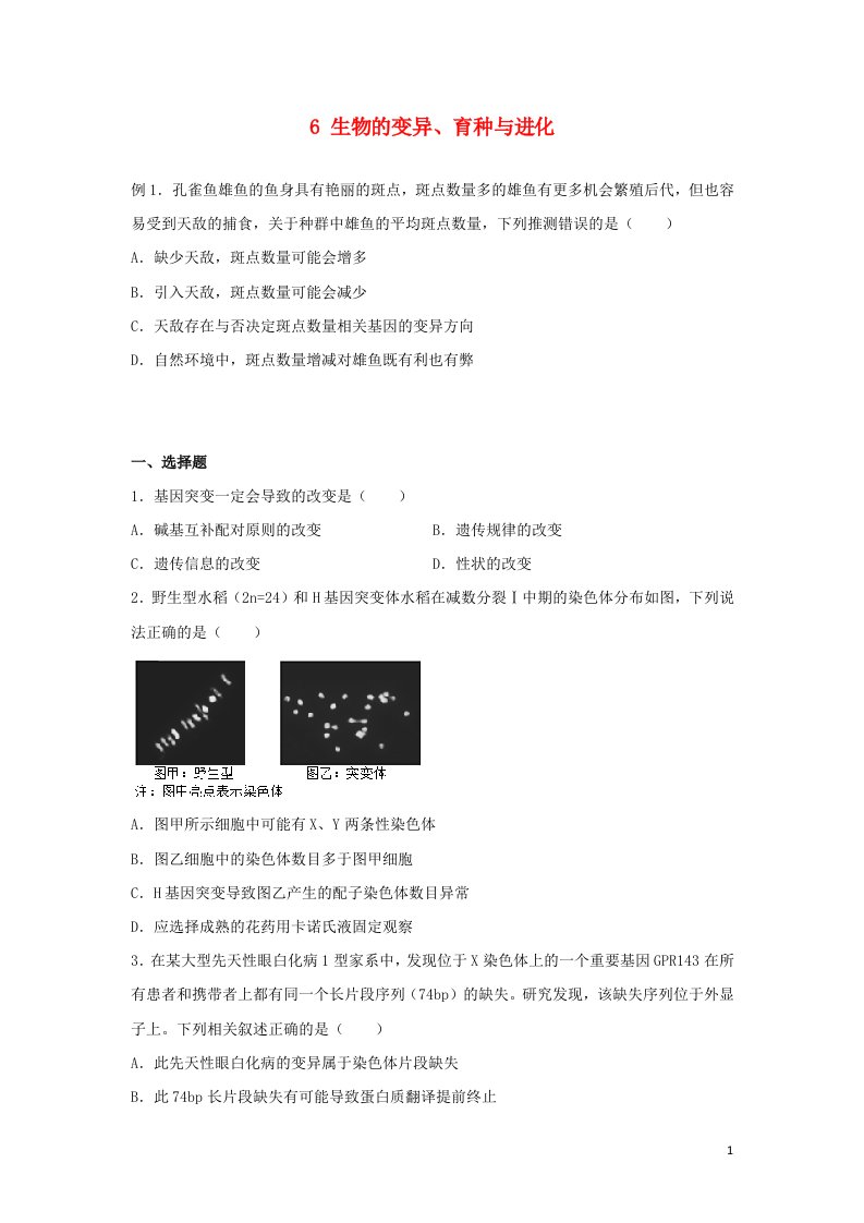 2021_2022学年高二生物下学期暑假巩固练习6生物的变异育种与进化