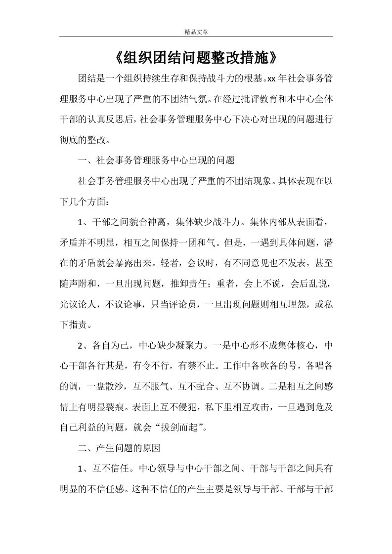 《组织团结问题整改措施》