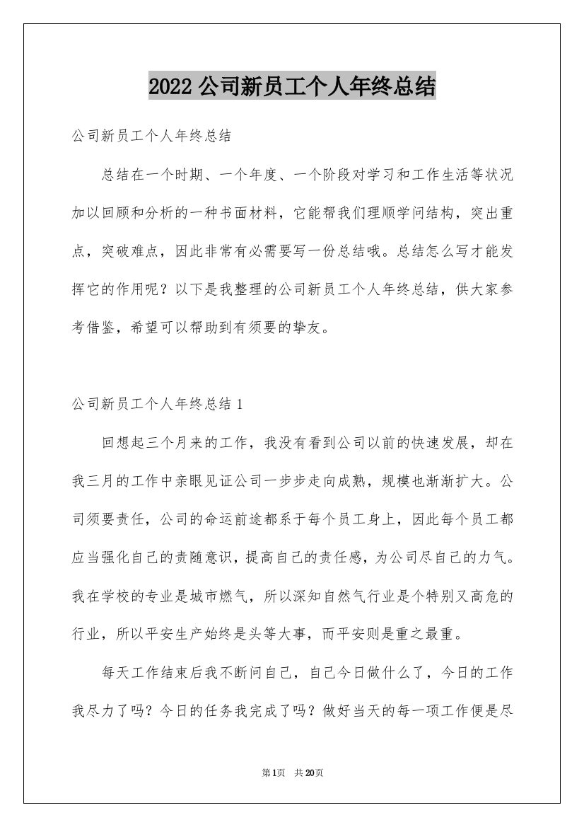 2022公司新员工个人年终总结_1