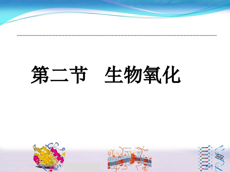 生物氧化中水的生成市公开课金奖市赛课一等奖课件