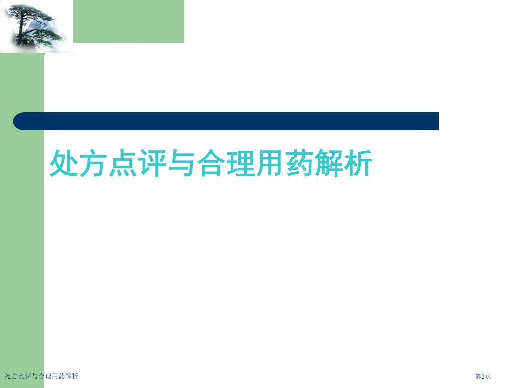 处方点评与合理用药解析PPT培训课件