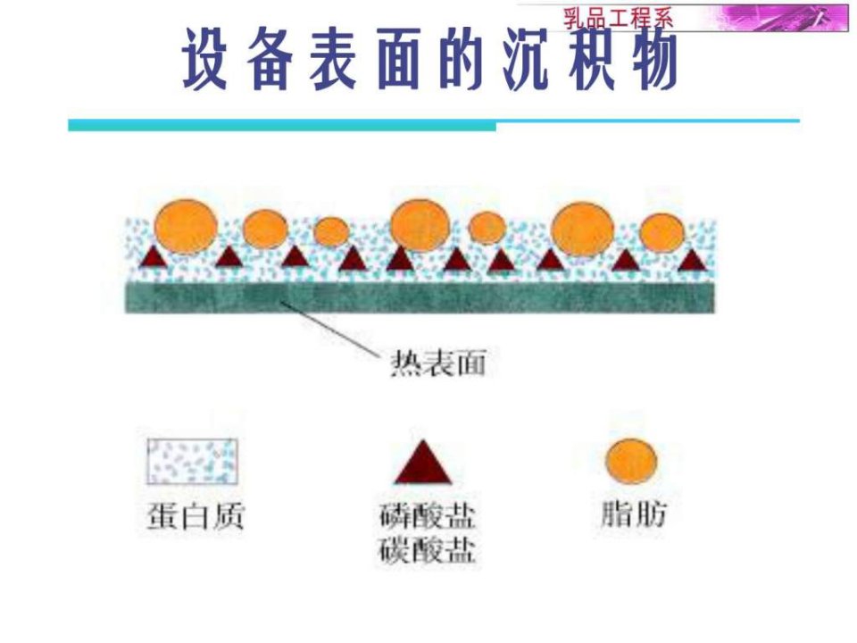 CIP乳品设备的清洗纺织轻工业工程科技专业.pptPPT课件