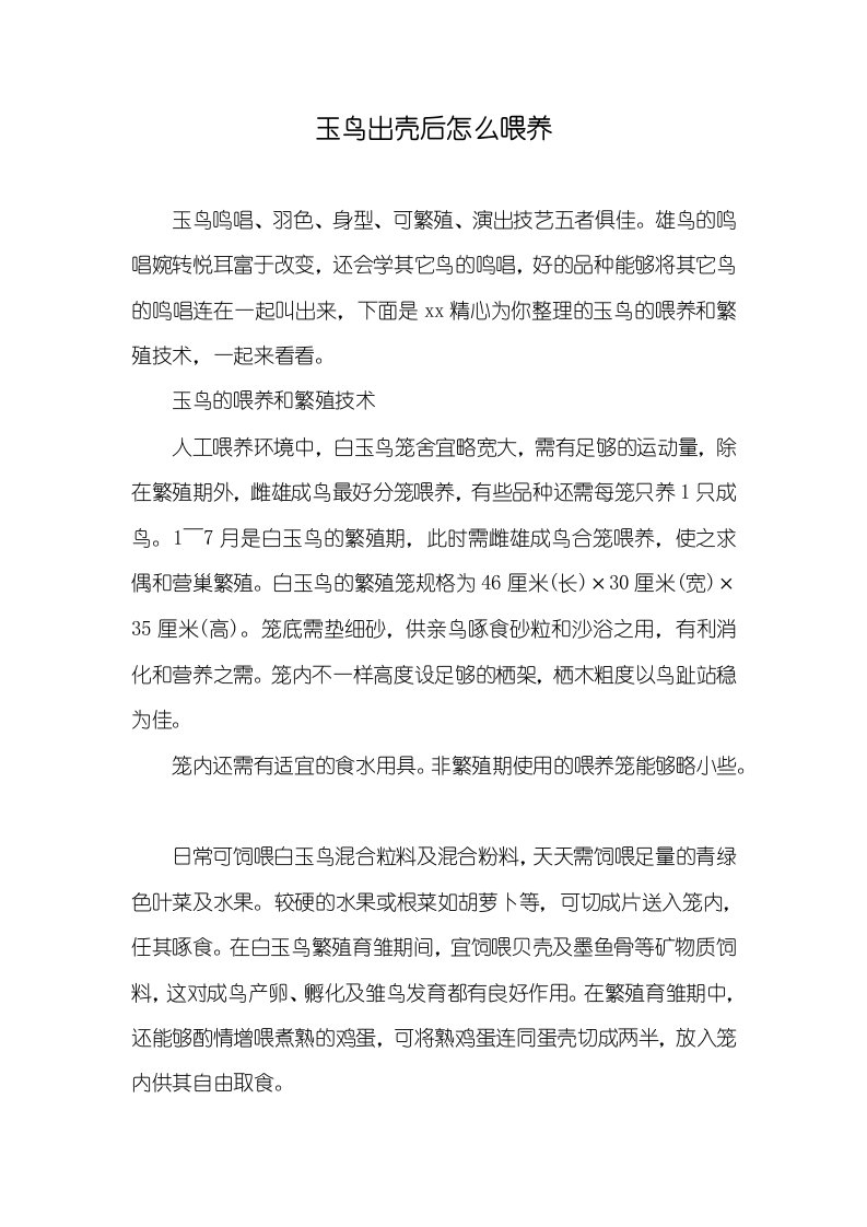 玉鸟出壳后怎么喂养