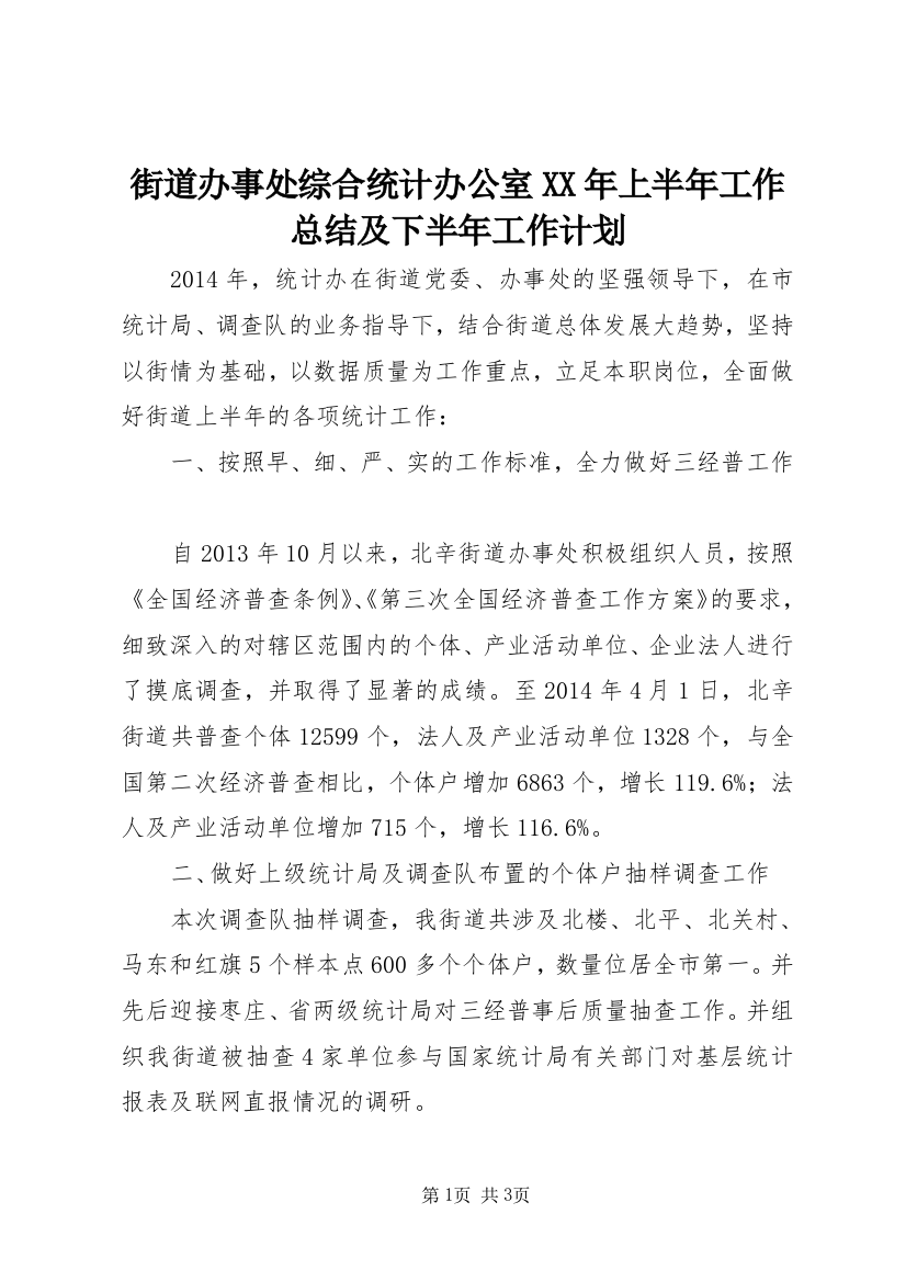 街道办事处综合统计办公室XX年上半年工作总结及下半年工作计划