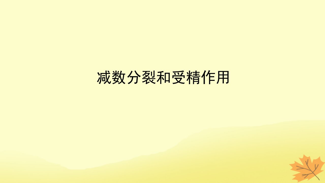 统考版2023版高考生物一轮复习第四单元细胞的生命历程2减数分裂和受精作用课件必修1分子与细胞