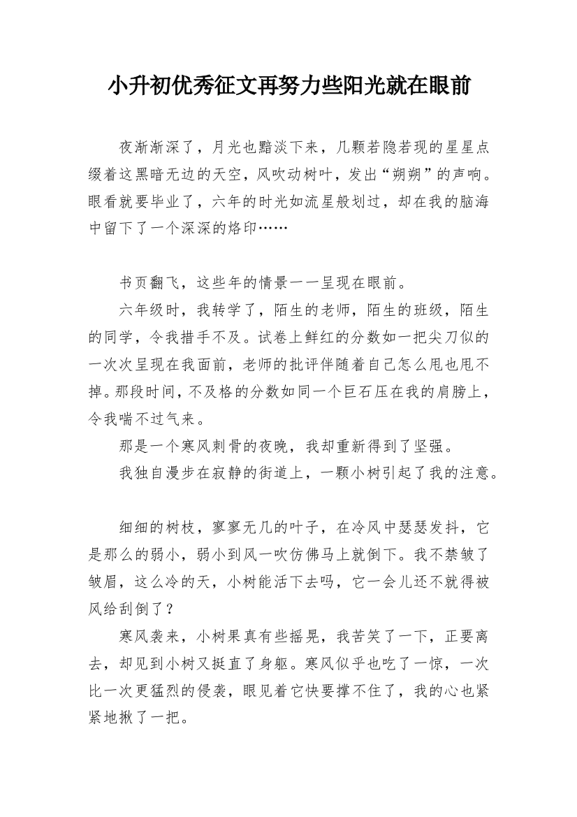 小升初优秀征文再努力些阳光就在眼前