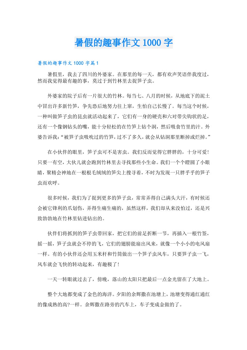 暑假的趣事作文1000字