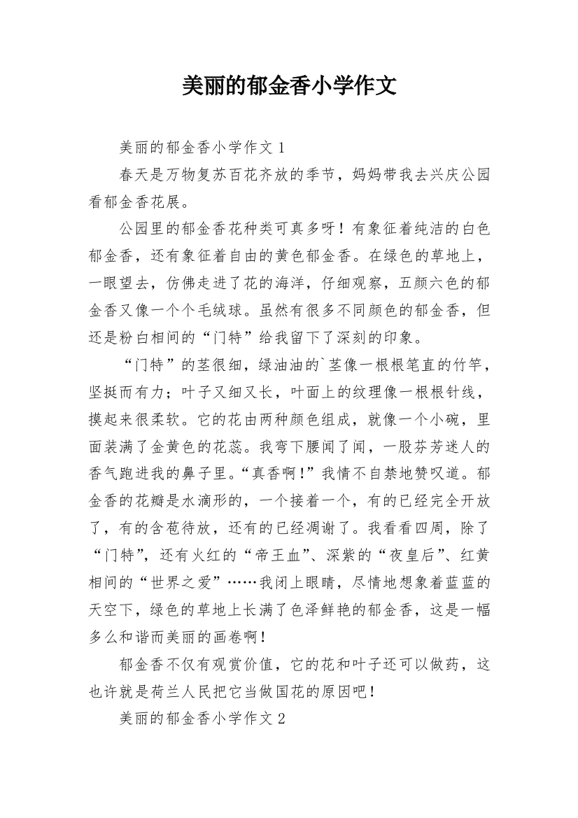 美丽的郁金香小学作文